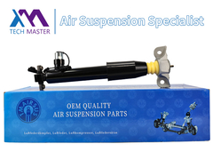 เทค มาสเตอร์ หลังซ้าย ผูกกันแรงกระแทกสําหรับ ลินคอล์น MKX F2GZ18125Z