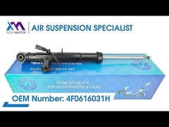 เทคมาสเตอร์ TMAIRSUS หลังซ้ายสตรูทอับซอร์บช็อคสําหรับ Audi A6L / C6 4F0616031H