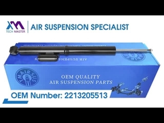 เทคมาสเตอร์ TMAIRSUS หลังซ้ายและขวาอากาศแขวนตัวปอดแกนสําหรับ BENZ W221 2213205513