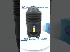 เทคมาสเตอร์ TMAIRSUS ด้านหลังซ้ายสำหรับ Porsche Panamera 971 Bentley Flying Spur Continental GT